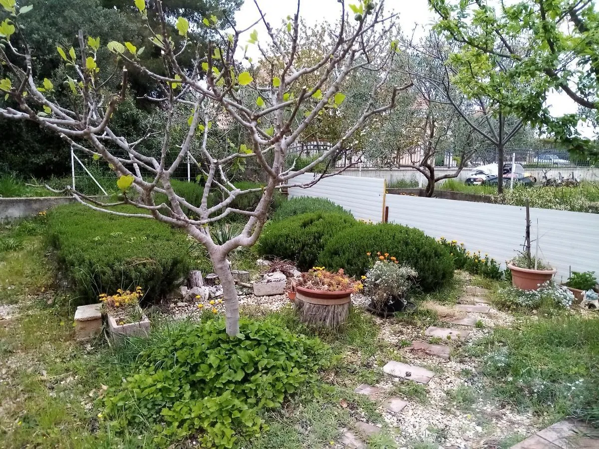 Apartments Vanja Skara Biograd Biograd Na Moru Croatia