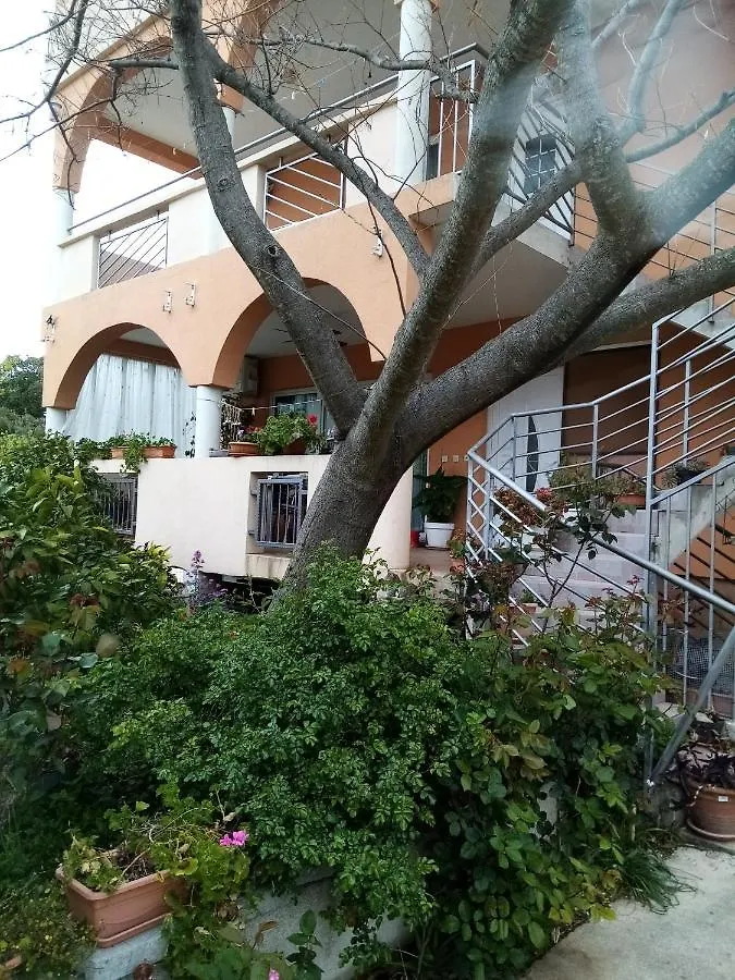 Apartments Vanja Skara Biograd Biograd Na Moru